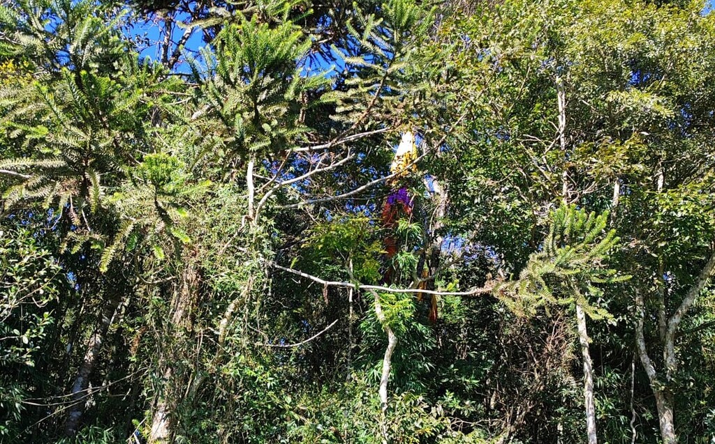 Homem morre após  cair com parapente em Lages