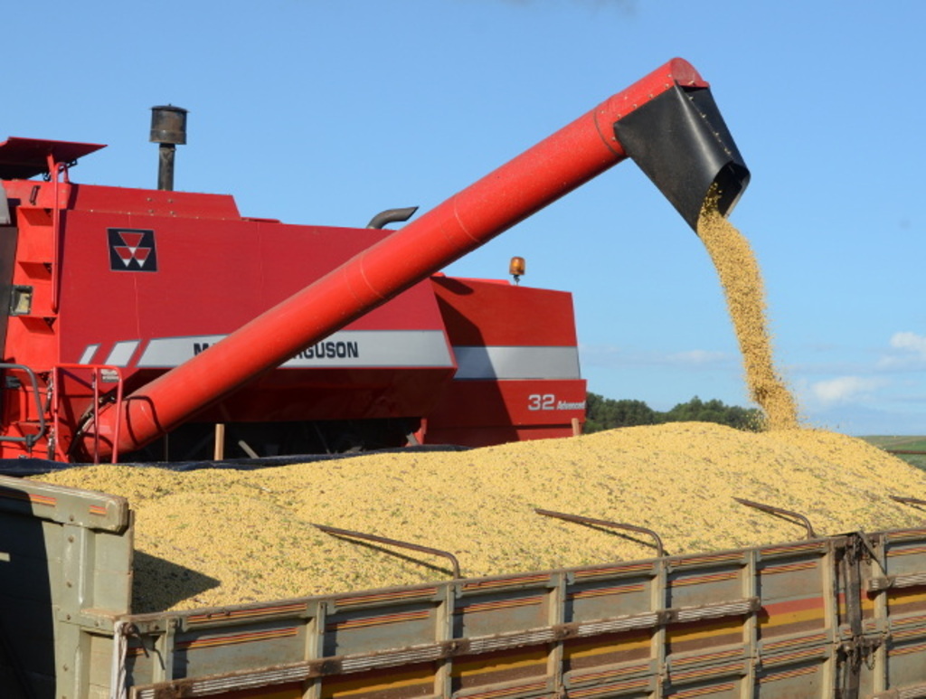 Brasil colherá 297,5 milhões de toneladas de grãos, estima a Conab