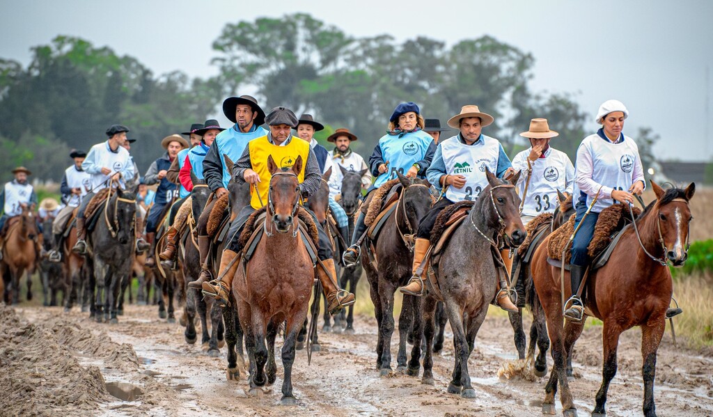 Marcha anual testa resistência do cavalo Crioulo