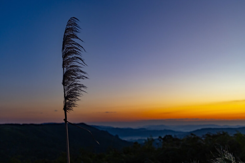 Inverno em Santa Catarina deve ter chuvas e temperaturas próximas da média