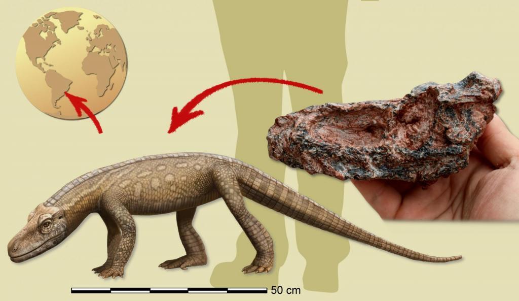 Nova espécie de réptil, que viveu antes dos dinossauros, é encontrado em Paraíso do Sul