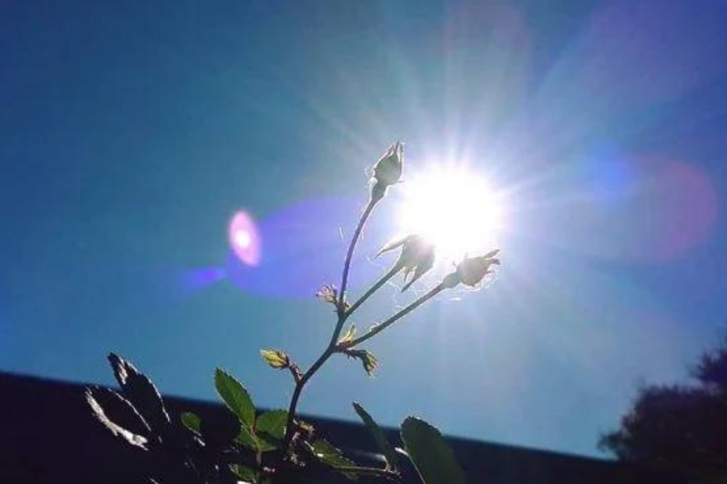 Após dias “cinzas” previsão pro final de semana é de sol e tempo mais estável em SC