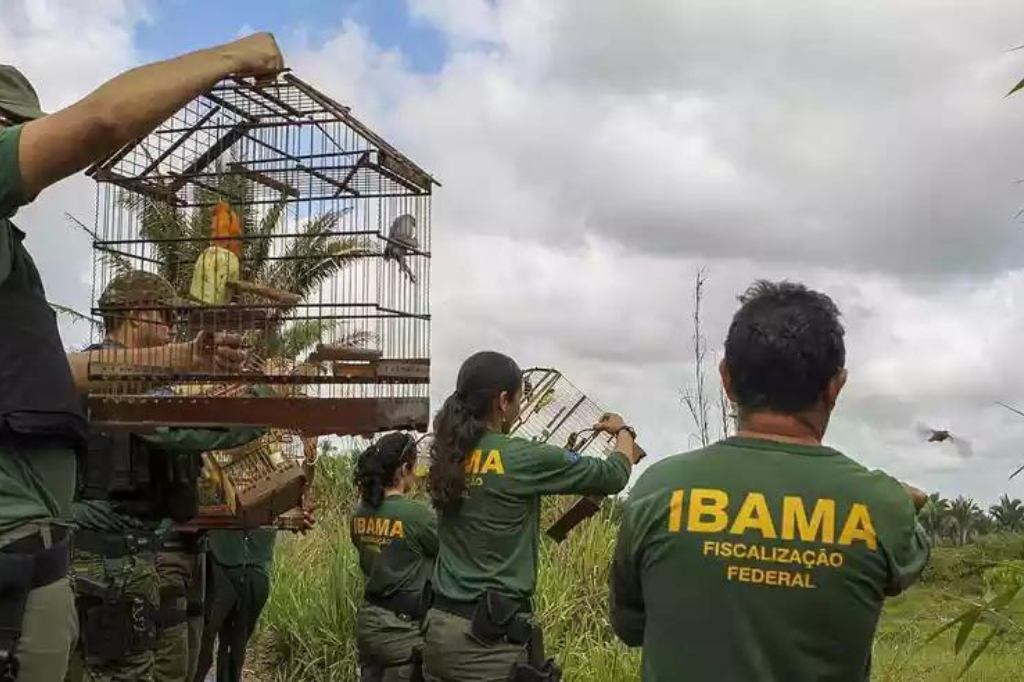 (Imagem divulgação) - Funcionários públicos federais ambientais iniciam greve