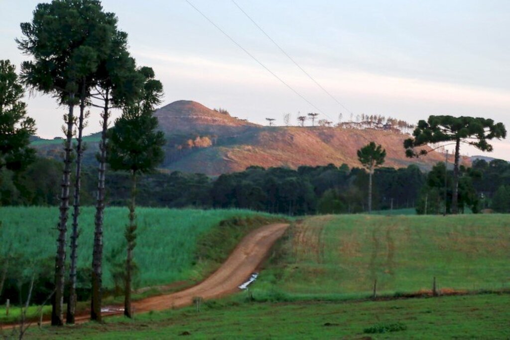 Roteiro de audiências é ajustado