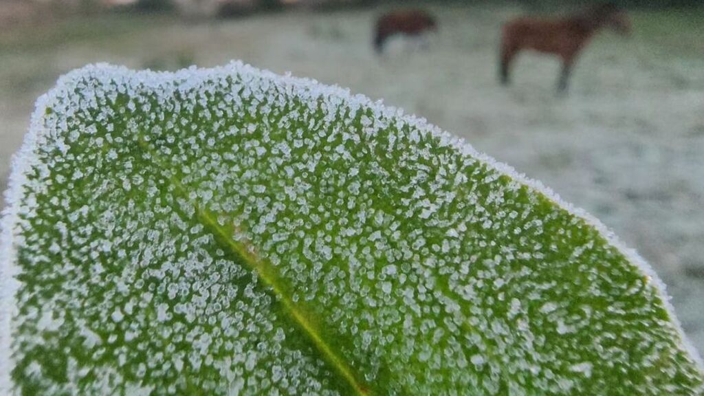 Frio intenso e geada marcam o último dia de junho em Santa Catarina