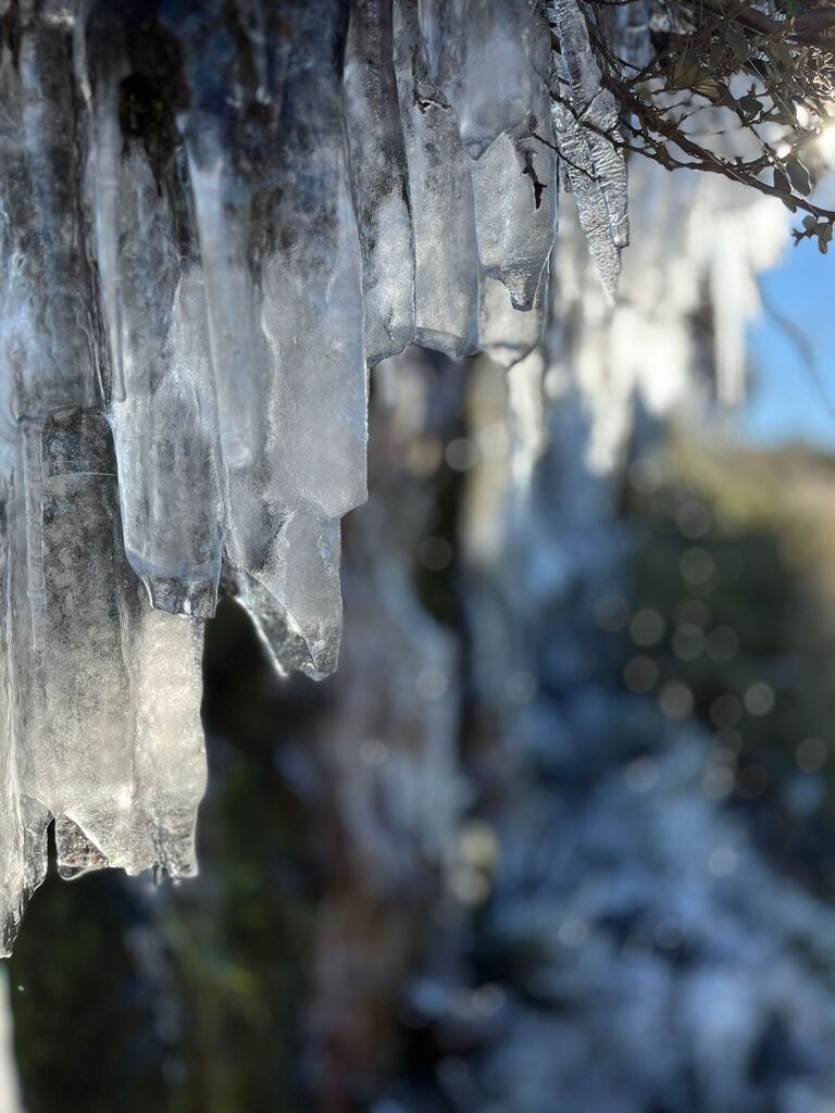 Urupema Registra Baixas Temperaturas