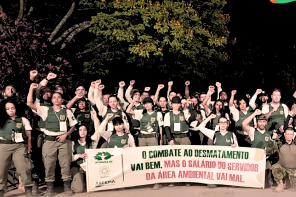(Imagem divulgação) - Servidores federais do meio ambiente estão em greve em 24 estados e no DF