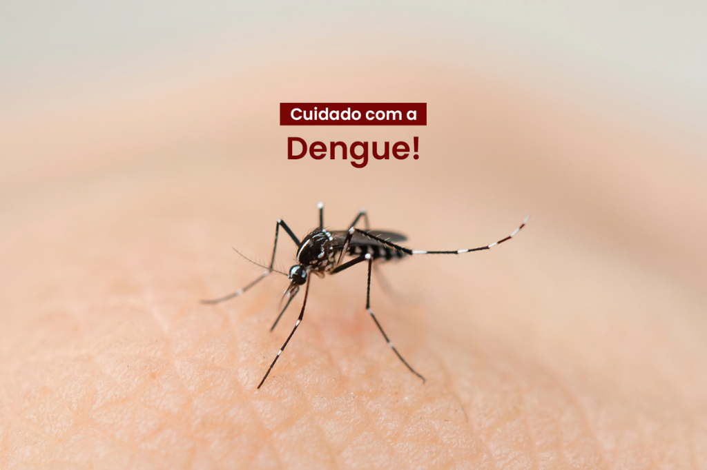 (Imagem divulgação) - Pescaria Brava tem 411 casos prováveis de dengue