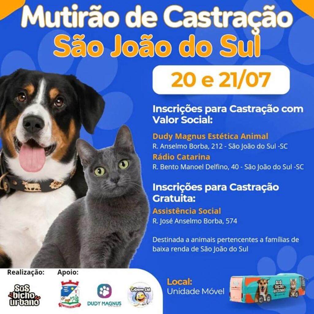 MUTIRÃO DE CASTRAÇÃO EM SÃO JOÃO DO SUL SERÁ NOS DIAS 20 E 21 DE JULHO