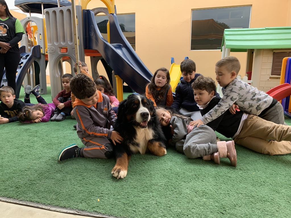 Conheça Conrado, o cão terapeuta que faz a alegria de crianças e adultos em Santa Maria