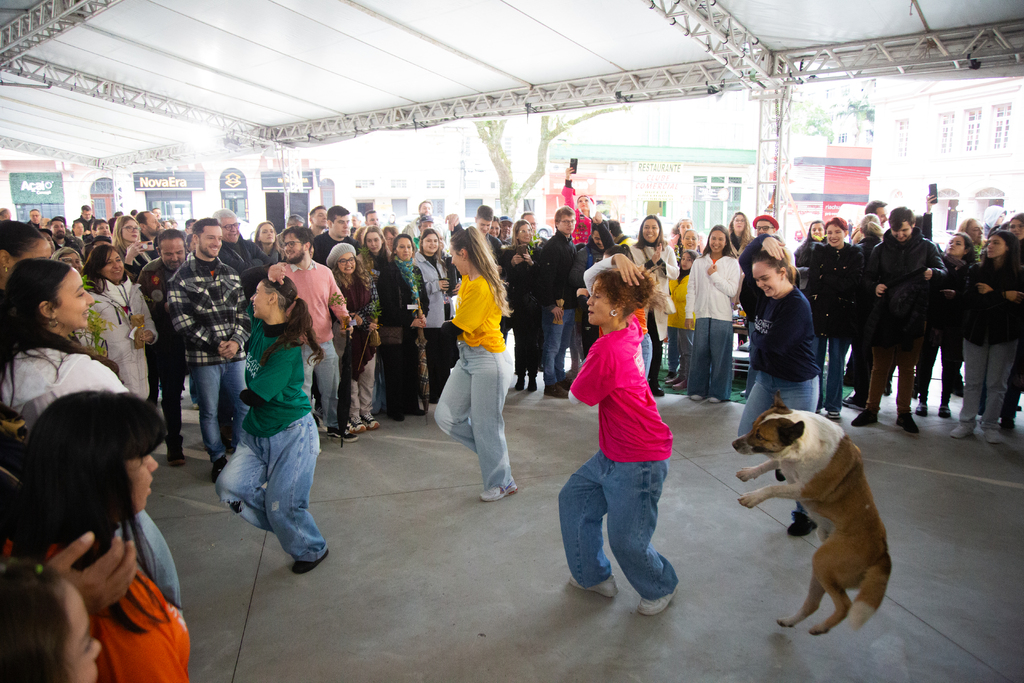 Jeff, o famoso cão de Santa Maria, rouba a cena em apresentação de dança na Praça Saldanha Marinho