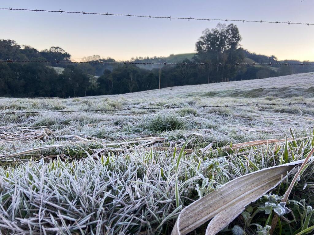 SC pode ter neve e chuva congelante entre a noite desta terça e madrugada de quarta