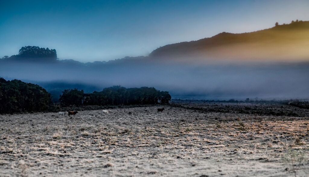 Previsão do tempo: Santa Catarina pode ter neve e chuva congelante entre a noite desta terça e madrugada de quarta-feira