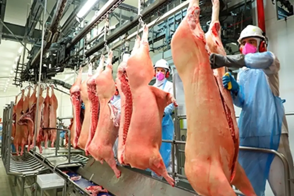  - Carne suína continua liderando o volume exportado com 93% do total vendido