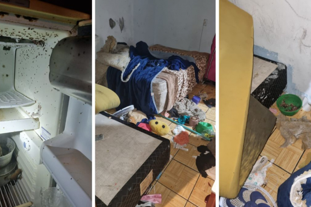 (Imagem divulgação) - Mãe é presa por deixar filhos pequenos sozinhos; casa suja e comida mofada na geladeira