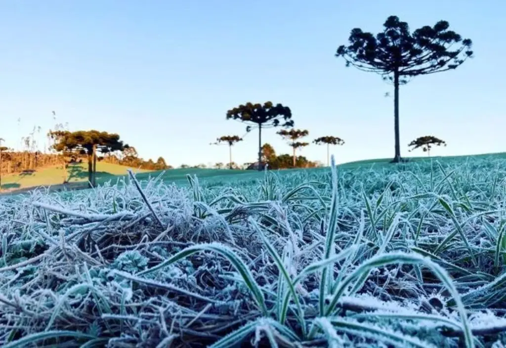 Brasil enfrenta geada no sul e calor intenso em outras regiões; veja previsão