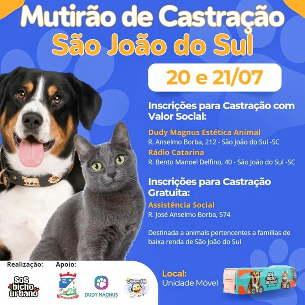 MUTIRÃO DE CASTRAÇÃO VOLTA AO MUNICÍPIO DE SÃO JOÃO DO SUL