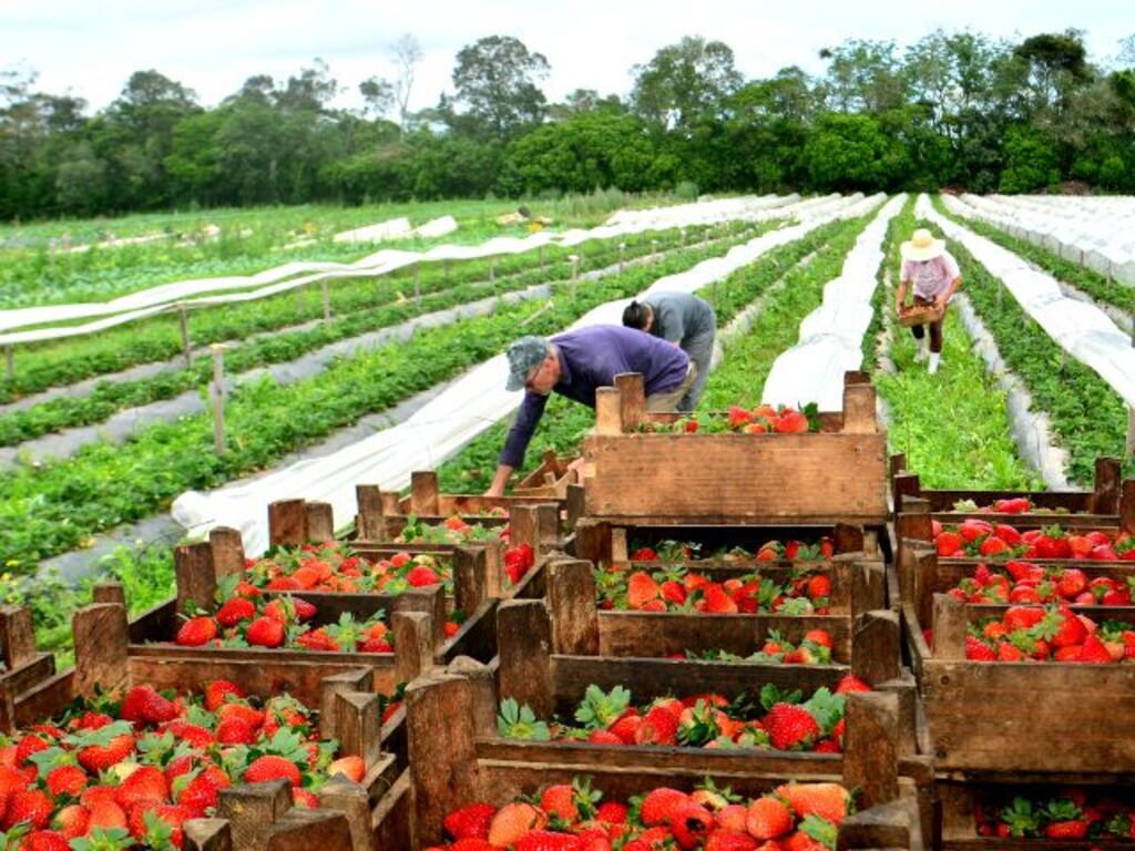 Aires Mariga/Epagri - 
