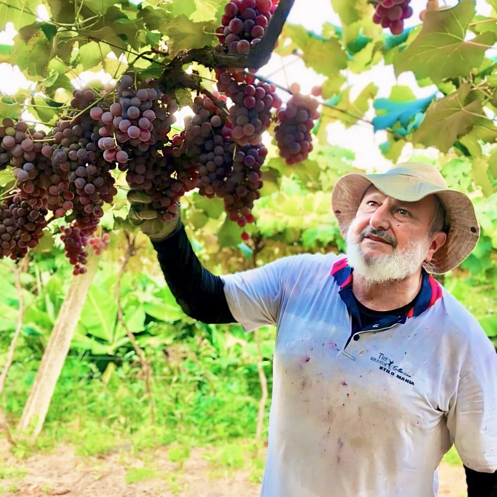 Padre Pedro recebe com “grande alegria” plano safra que fortalece agricultura familiar