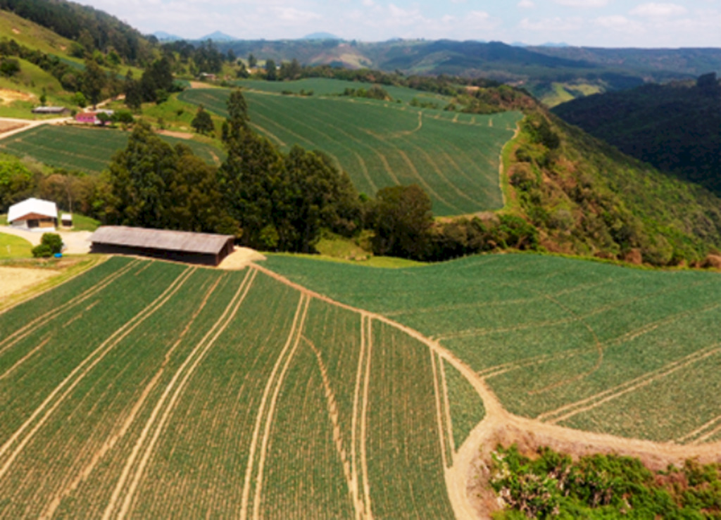 Especificidades da agricultura