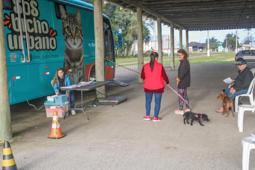 MAIS DE 100 ANIMAIS SÃO  BENEFICIADOS NO MUTIRÃO DE CASTRAÇÃO EM SÃO JOÃO DO SUL