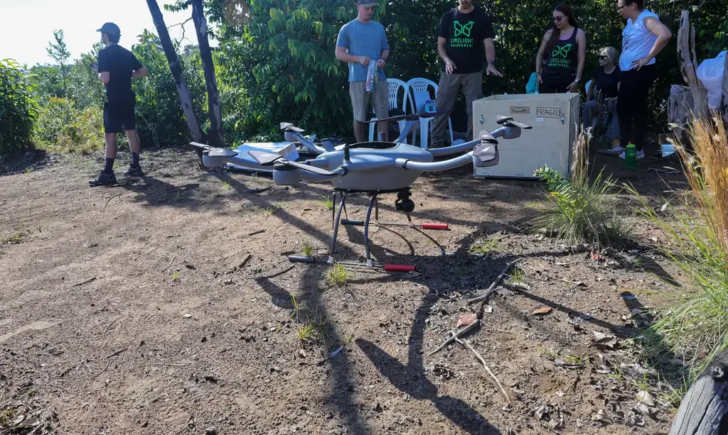 Tecnologias para mapear florestas tropicais favorecem transição verde