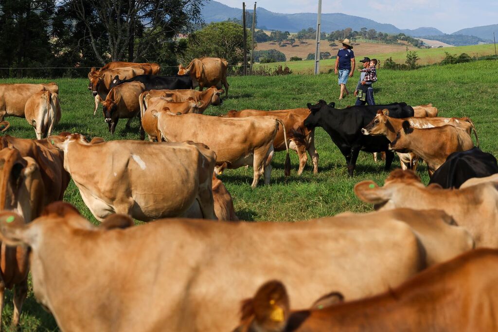 PROGRAMA LEITE BOM: GOVERNO DO ESTADO INICIA PAGAMENTO DE PROJETOS QUE FORTALECEM CADEIA PRODUTIVA