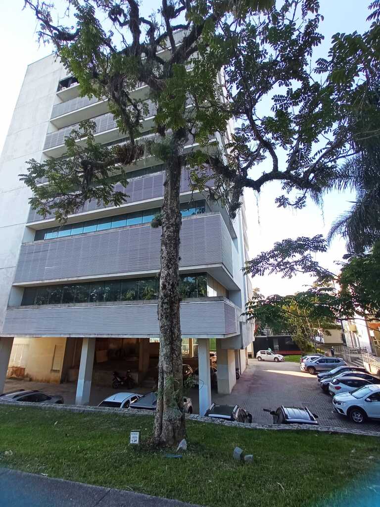 UFSC não vai retirar as 2,1 mil árvores exóticas do campus