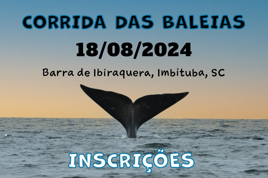 (Imagem divulgação) - Inscrições para a Corrida das Baleias 2024 vão até o dia 31 de julho