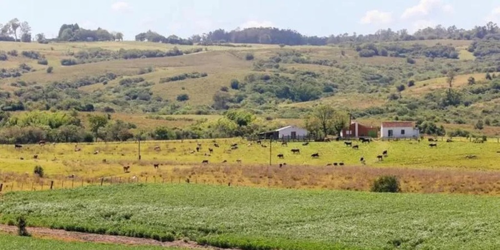 Farsul alerta sobre alterações no Cadastro Ambiental Rural