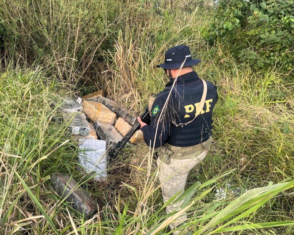 PRF localiza quase meia tonelada de maconha às margens da BR-282