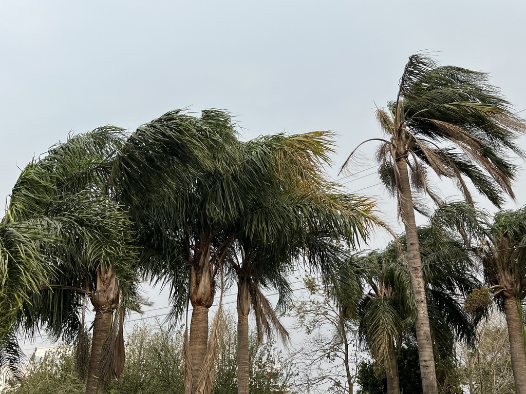 Maior vento norte registrado neste ano antecede temporal em Santa Maria