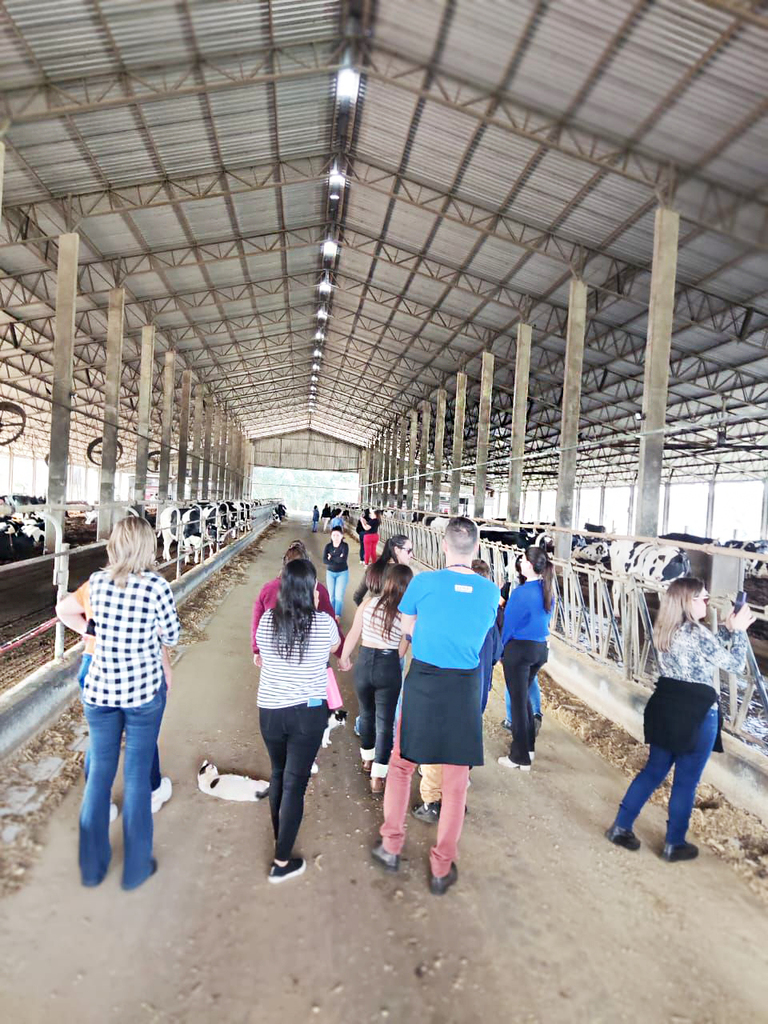 Jovens do Novos Caminhos visitam granja leiteira para conhecer o setor agropecuário