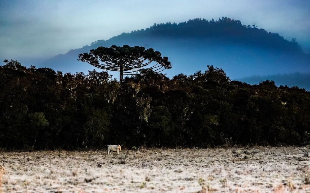 Previsão indica frio intenso e possibilidade de neve em Santa Catarina neste fim de semana