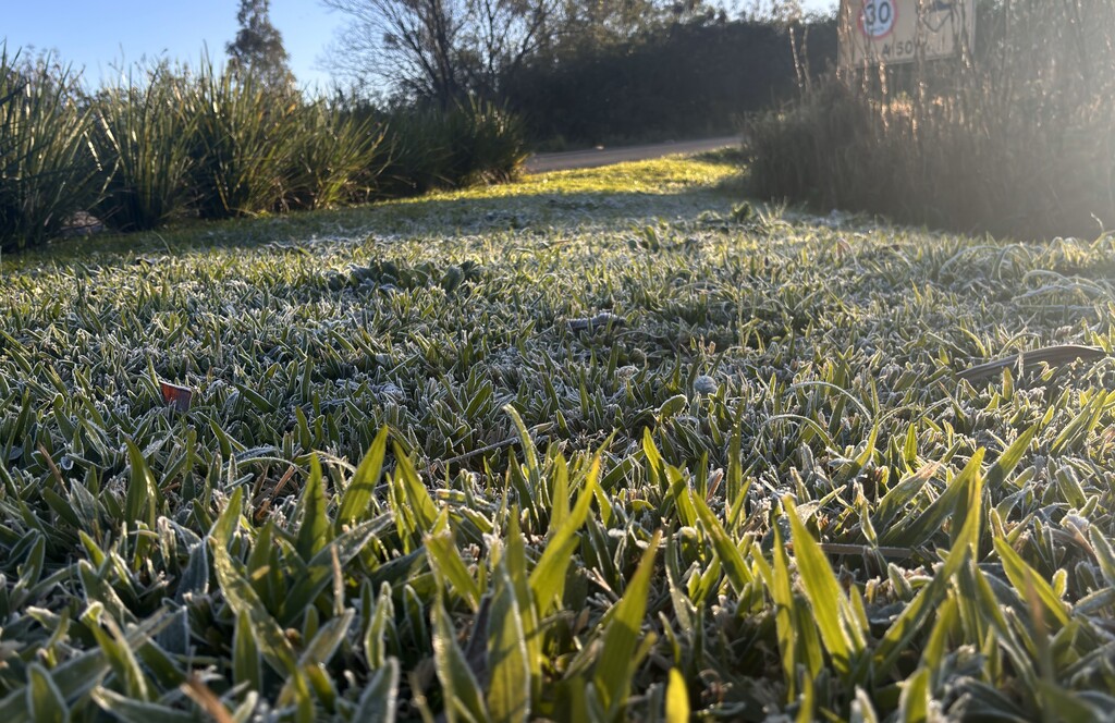 Com geada no amanhecer, Santa Maria registra temperaturas próximas de 0°C nesta terça; região teve mínimas negativas