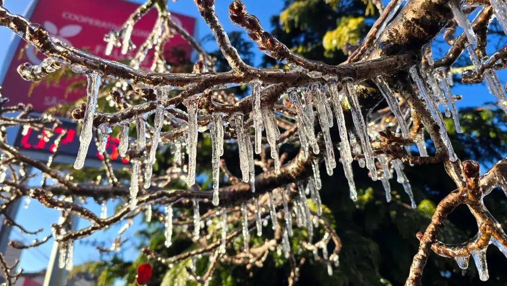 Urupema registra temperatura de -6,7ºC e sensação térmica de -22ºC