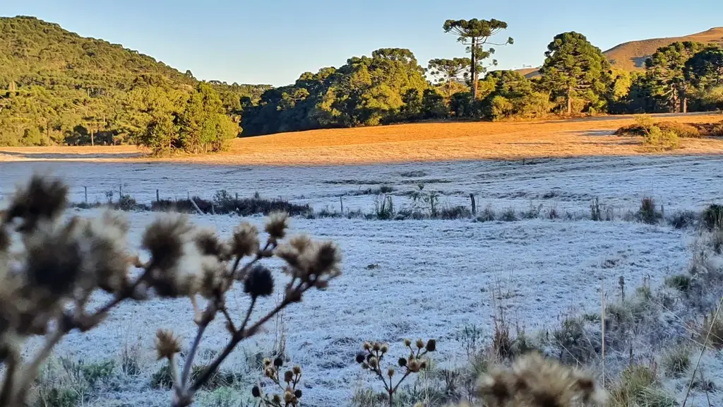 Cidades da Serra catarinense registram temperaturas negativas e semana começa com frio intenso em SC