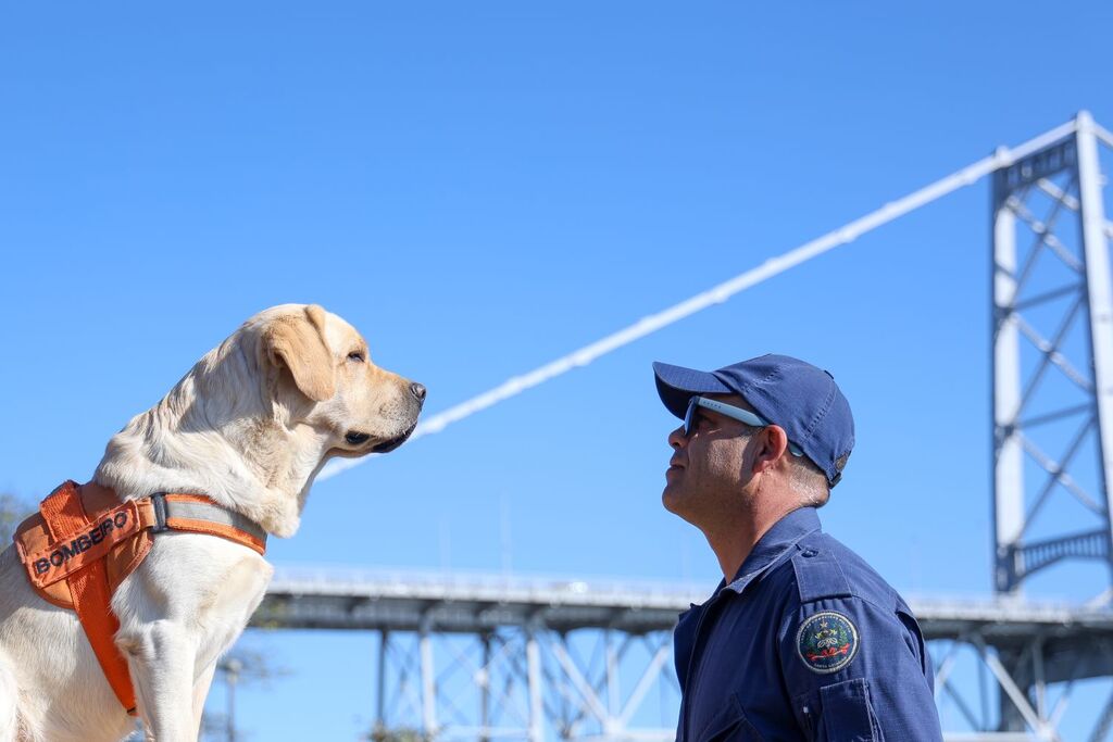 Referência nacional em busca e salvamento, CBMSC investe em treinamento conjunto com cães