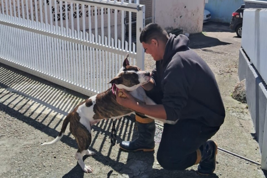 Bombeiro adota cadela da raça pit bull resgatada de maus tratos