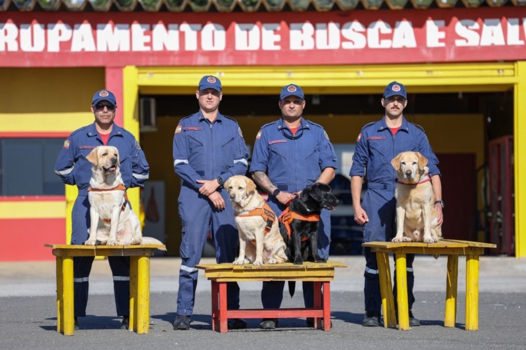 “Bom pra Cachorro”: Corpo de Bombeiros Militar de SC investe em treinamento conjunto com cães