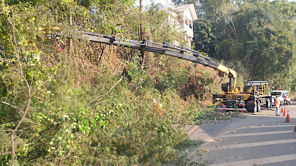 Prefeitura de Capinzal terceiriza serviços de poda e corte de árvores que proporcionam riscos