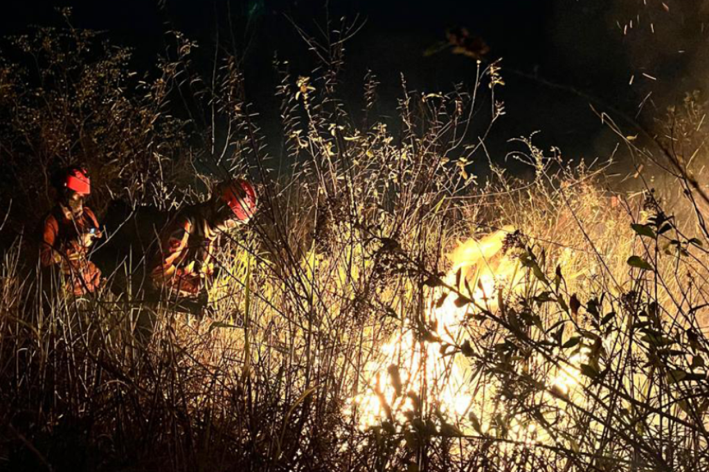 Bombeiros combatem incêndios em áreas de vegetação durante a madrugada em Imbituba