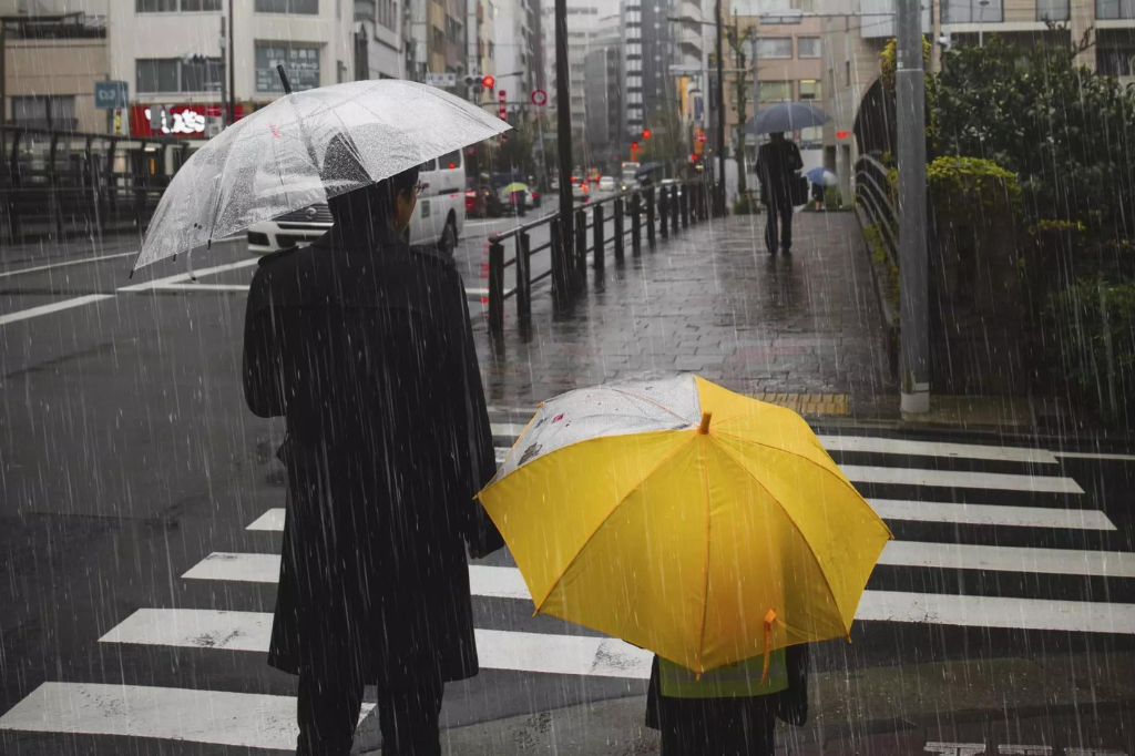 (Imagem reprodução) - Do calor ao frio Intenso; mudanças climáticas podem trazer neve para santa catarina