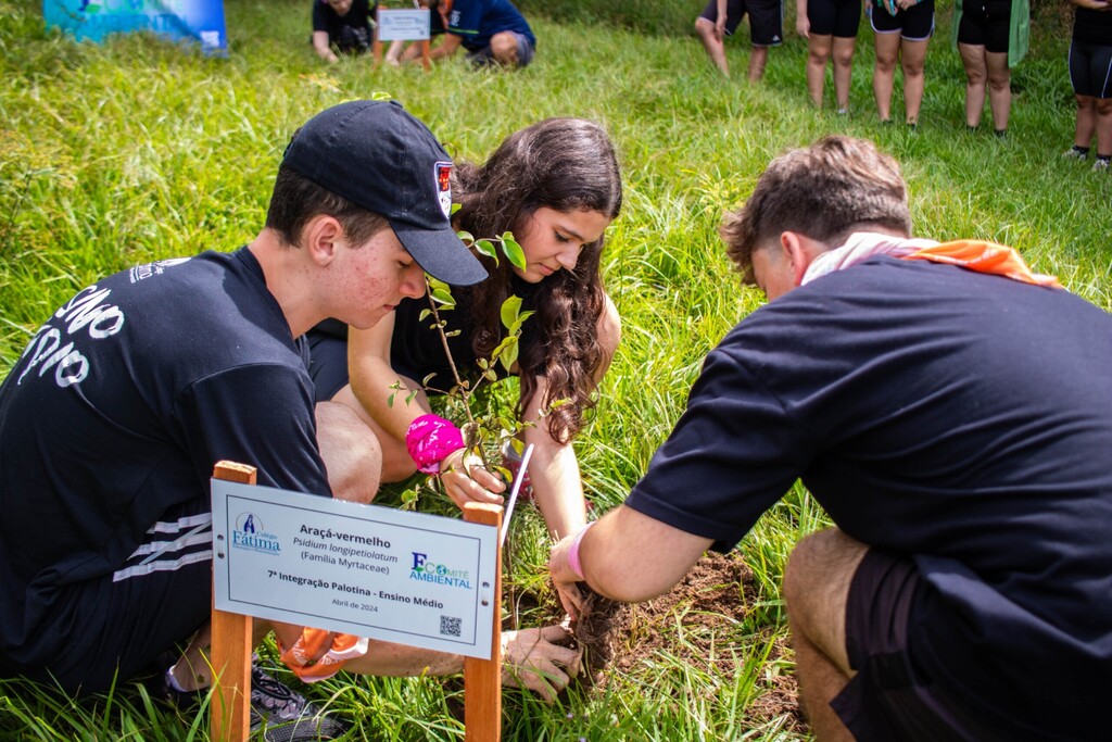 Conheça os colégios santa-marienses que estão integrando ações ecológicas em suas atividades