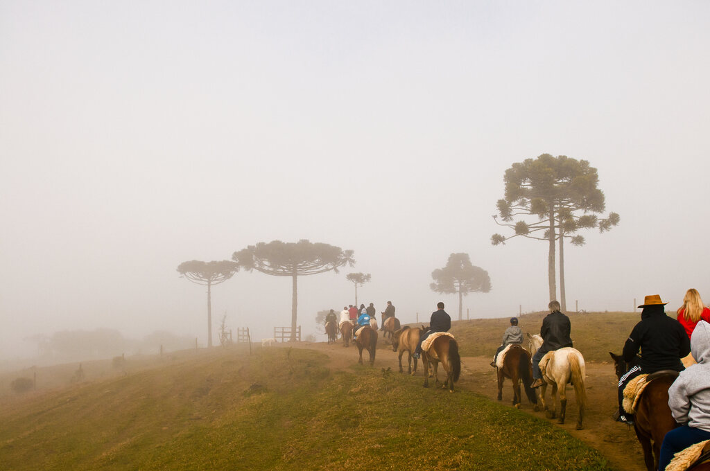 Pode nevar domingo na Serra Catarinense