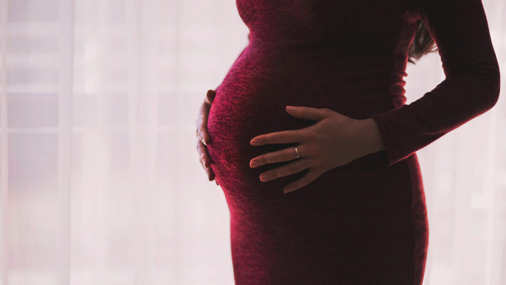 Mulheres de SC têm menos filhos que o necessário para manter população
