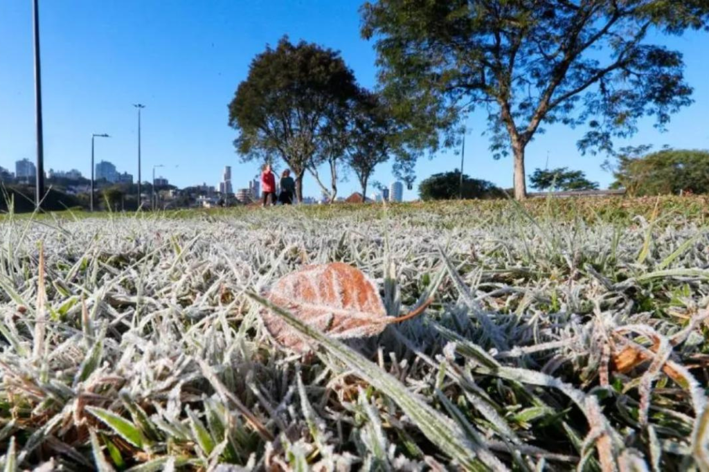 (Imagem Átila Alberti/Tribuna do Paraná) - Santa Catarina enfrenta frio intenso e geadas ao longo da semana