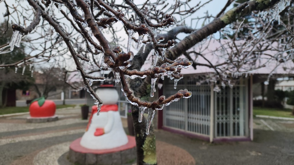 Região registra temperaturas negativas e ocorrência de neve na madrugada de segunda-feira