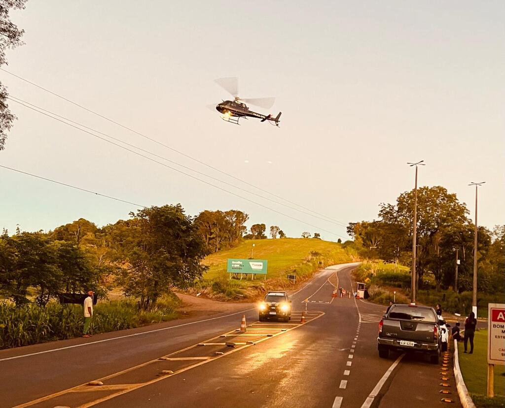 Divulgação - Imagens da apreensão realizada na cidade de Bom Jesus do Oeste, em abril deste ano.