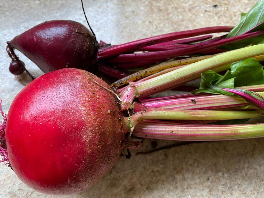 BETERRABA, REMOLACHA (Espanhol), BEET (Inglês), BETTERAVE (Francês), ESSE ALIMENTO É UMA FARMÁCIA